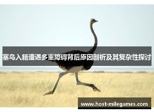 塞鸟入籍遭遇多重障碍背后原因剖析及其复杂性探讨