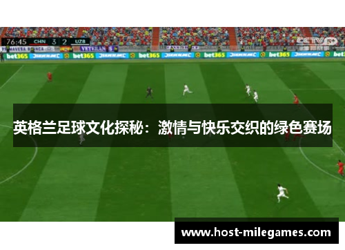 英格兰足球文化探秘：激情与快乐交织的绿色赛场